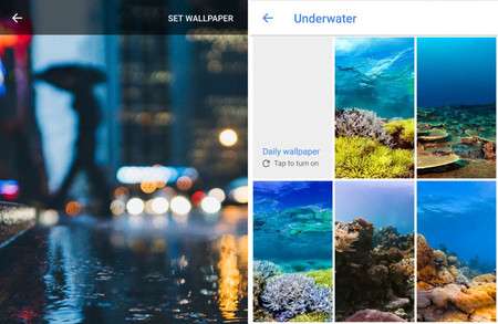 La aplicación de Fondos de Google añade más categorías de wallpapers, ¿solo para Pixel?