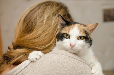 Los gatos copian rasgos de la personalidad de sus dueños
