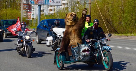 Russian Bear In Motorcycle