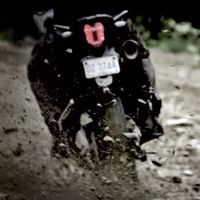 Una renovada Triumph Tiger promete grandes novedades para 2018 en este teaser