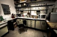 Las pymes innovadoras podrán aplicar una bonificacion del 40% en la Seguridad Social