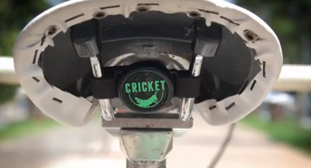 cricket alarma bici