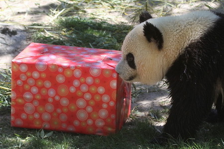 Estas Navidades ven al campamento del Zoo Acuarium de Madrid