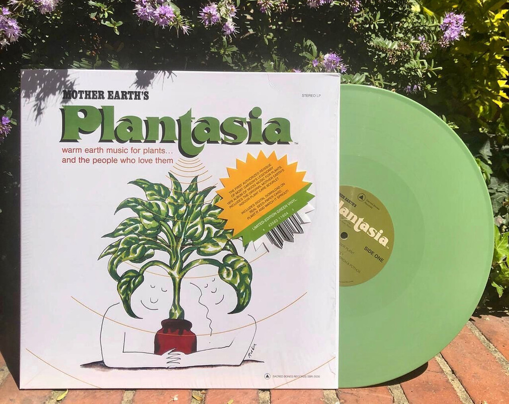 Cómo una canción para hacer crecer las plantas acabó inspirando la música de The Legend of Zelda Cómo una canción para hacer crecer las plantas acabó inspirando la música de The Legend of Zelda