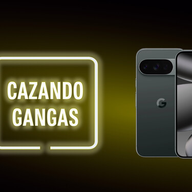 Cazando Gangas
