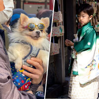 Como Japón se está quedando sin niños, está empezando a adoptar algunas ceremonias para un grupo al alza: los perros