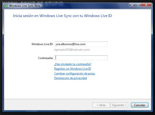 Windows Live Sync