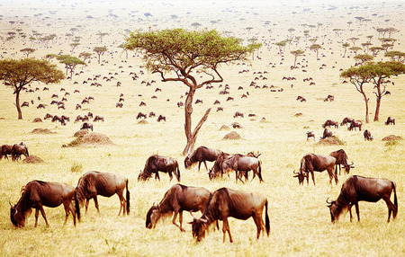 Paco Nadal: La Fotografía como algo mejor que hacer en Botswana sin matar elefantes