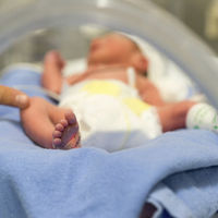 Advierten que los recién nacidos están expuestos al Bisferol-A y parabenos en artículos utilizados en las UCI neonatales