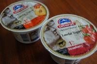 Los yogures desnatados en el embarazo asociados a mayor riesgo de asma infantil