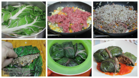 Dolmas Pasos