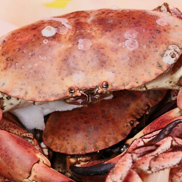 Carrefour se olvida de la inflación y este buey de mar queda por menos de 11 euros la pieza