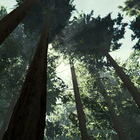 Mapa interactivo de The Forest para localizar todos los recursos, peligros y secretos del juego