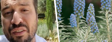 El paisajista Javier Coves lo tiene claro: “Es una planta clave para crear un jardín sostenible que no dependa constantemente de nosotros”