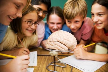 Las lesiones en la médula espinal pueden causar daño cerebral posterior