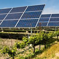 Qué es la energía agrovoltaica y por qué lo tendría todo para triunfar en España, si no fuera por un detalle