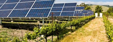 Qué es la energía agrovoltaica y por qué lo tendría todo para triunfar en España, si no fuera por un detalle