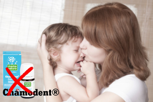 ¿Llora porque le duelen los dientes? Por qué no debes darle Chamodent