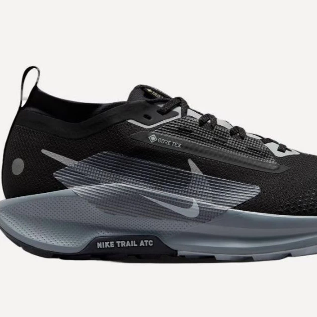 Zapatillas de Trail Running de hombre NIKE PEGASUS TRAIL 5 GTX Nike Negro

