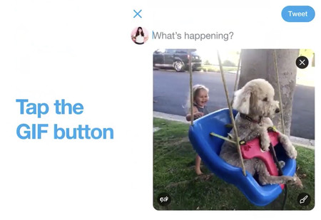 Twitter para iOS ya permite subir Live Photos como GIFs