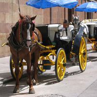 Málaga se despide de una vez por todas de los coches de caballos: ni eran seguros ni buenos para los animales. El Ayuntamiento elimina las licencias que quedaban y no dará más 