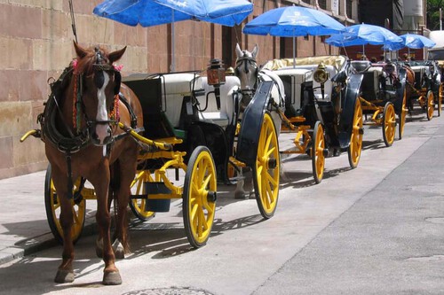 Coche Caballos Malaga 0