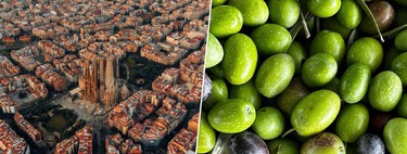 Barcelona quiere decir adiós al asfalto tradicional y cree saber cómo: con aceitunas