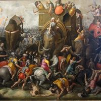 Los arqueólogos llevan siglos buscando los elefantes de guerra de Aníbal. Solo tenían que excavar en Córdoba