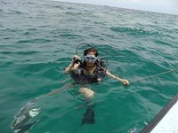 Análisis del Plan contra el Empleo Sumergido