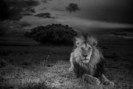 Los premios POYi de fotografía ya están en plena «ebullición». Y lo que queda...