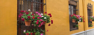 Si alguien pone rejas en tu comunidad y te molestan, no sufras: para eso está el artículo 7 de la Ley de Propiedad Horizontal