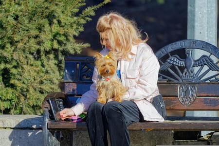 5 Preguntas Antes Adoptar Perro