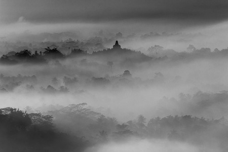 Trucos y consejos para hacer fotografías de niebla y neblina