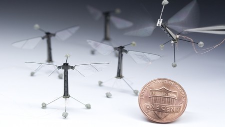 Estos robots de 80 milímetros ya empiezan a comportarse como insectos