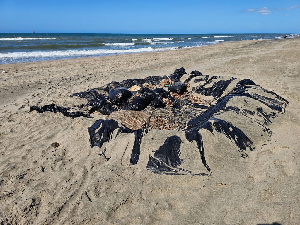 Las playas de Veracruz están contaminadas y todos se hacen la misma pregunta: quién es el culpable