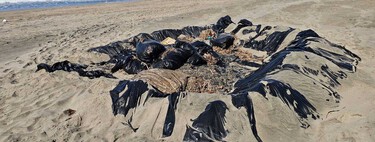 Una gigantesca mancha de chapopote recorre las costas de Veracruz y nadie asume la responsabilidad