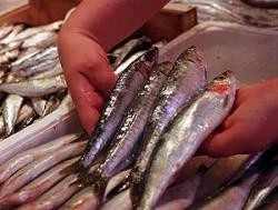 Pescado, alimento capaz de reducir en un 17% las posibilidades de morir de cualquier enfermedad