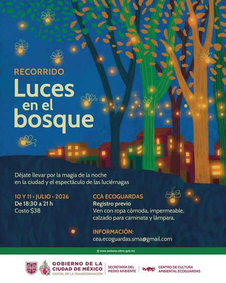 Ya no tienes que viajar a Tlaxcala: estas alcaldías de la CDMX tendrán espectáculos de luciérnagas
