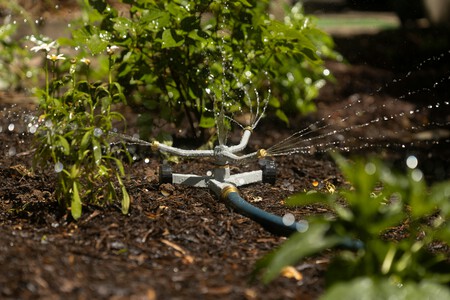 regar plantas