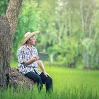 Los buenos profesionales aman su trabajo 