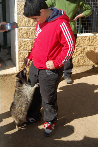 Fundación Pequeño deseo