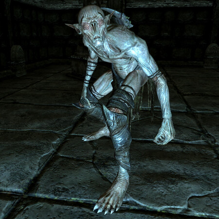 Recurso Skyrim Falmer