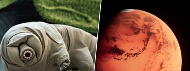 ¿Es habitable Marte? Por el momento, el ser más indestructible de la Tierra no es capaz de sobrevivir a su suelo