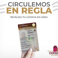 Más de 79,000 licencias perderán su vigencia en México si no se actualizan datos: esto pide el estado