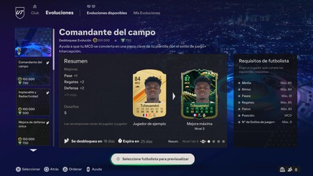 Comandante del campo