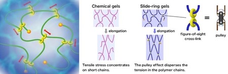 Esquema poli-rotaxano