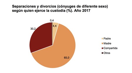 Custodias Ine 2017