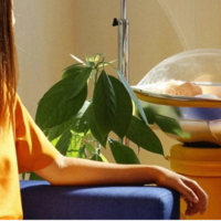 Parturient, un útero externo capaz de gestar un bebé en el salón de tu casa