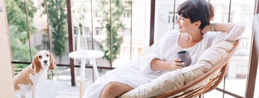 Lidl lanza el viernes 13 de marzo los soportes para plantas ideales para dar vida a tu terraza: cuestan menos de 12 euros 