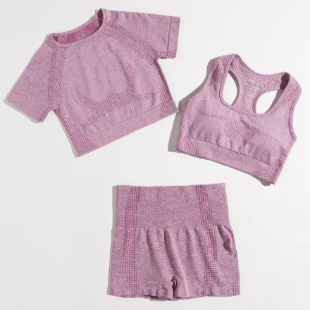 Yoga Basic Conjunto de Yoga inconsútil de 3 piezas, traje deportivo con espalda de corredor, Sujetador deportivo, Camiseta corta de cuello redondo, shorts de cintura ancha